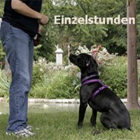 Einzelcoaching