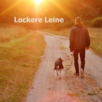 kurs_lockere_leine_nouvidog