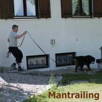 yannick_haller_mit_huendin_paula_beim_trailen
