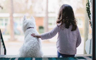 Kleinkinder und Hunde